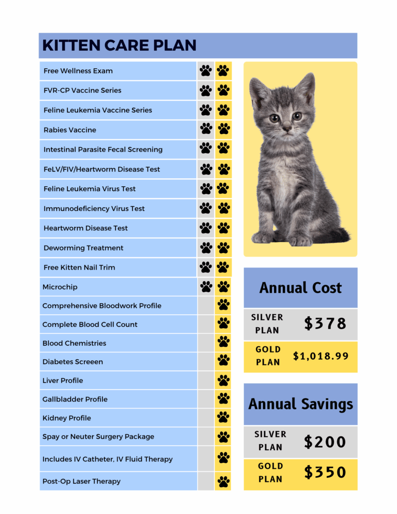 Kitten Care Plan-2025